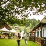 Festivalul Taste of Transylvania trece granițele: prima ediție internațională va avea loc în Ungaria
