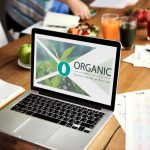 Cum să crești traficul organic al unui magazin online fără reclame plătite