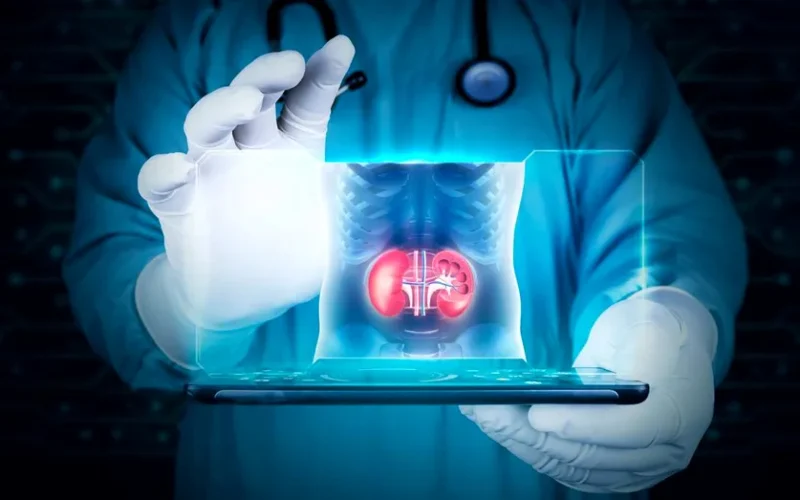 Ce trebuie să știe pacienții oncologici pentru a-și menține rinichii sănătoși în timpul tratamentului